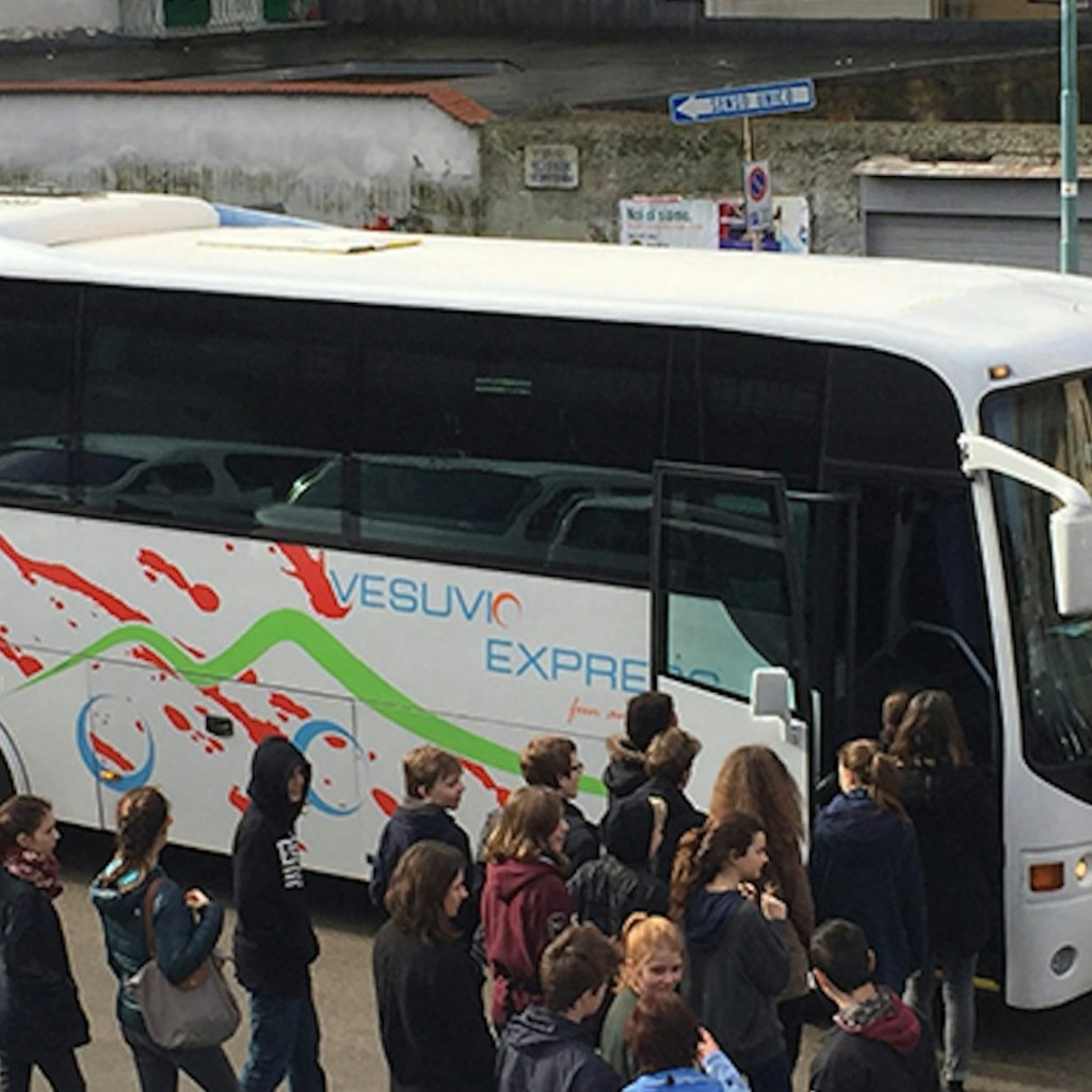Mount Vesuvius: Transport Only from Naples by Vesuvio Express - 1
