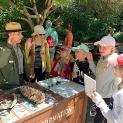 Muir Woods und Sausalito: Small-Group Tour - 1