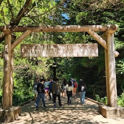 Muir Woods & Sausalito: Guided Day Tour from San Francisco + Alcatraz Entry - 2