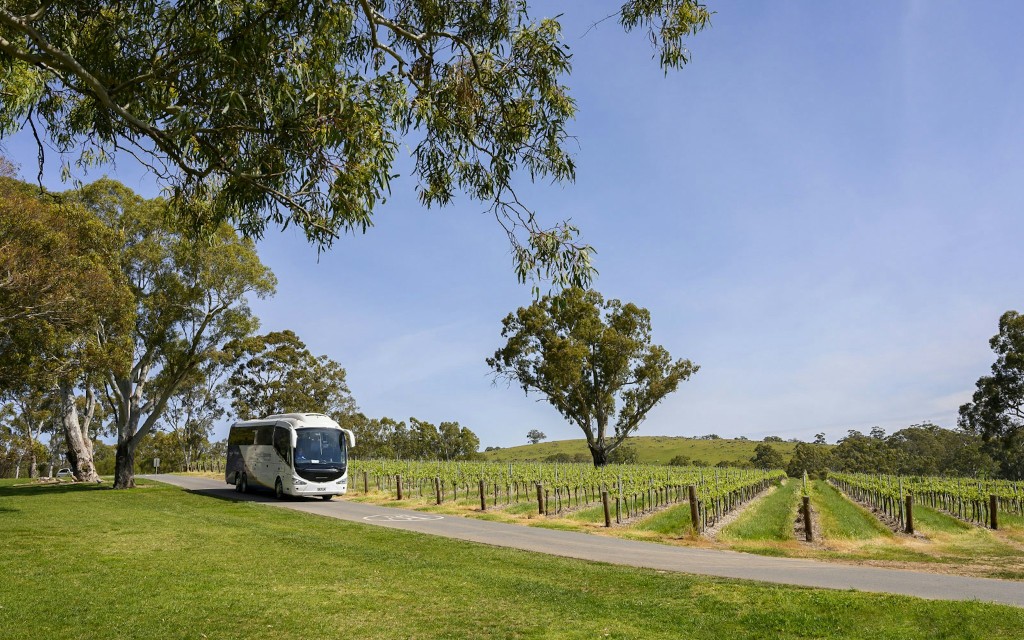 Murray River Lunch Cruise & Flussufertour (Murray River Highlights) - 1