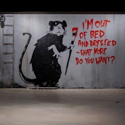 Musée Banksy Paris: Exhibition Access - 1