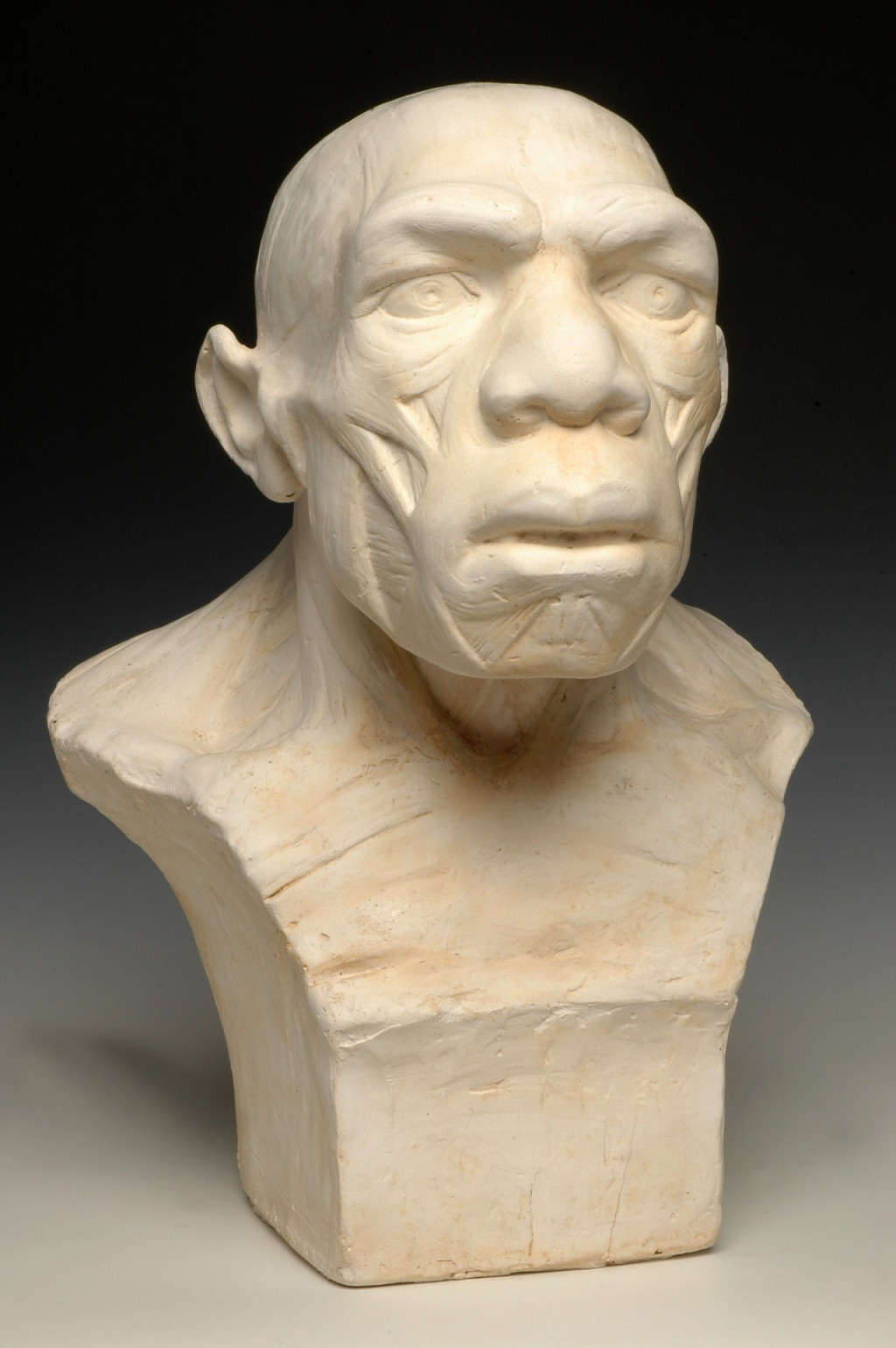 Musée de l'Homme (Musée de l'Homme - Skip The Line Admission) - 3