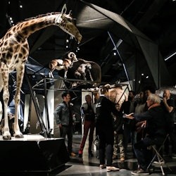 Musée des Confluences: Entry Ticket - 1