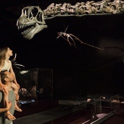 Musée des Confluences: Entry Ticket - 3