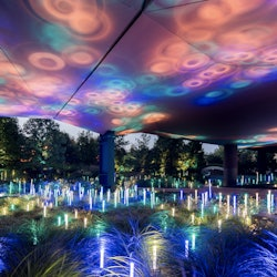 Musée du quai Branly - Jacques Chirac: Entry Ticket - 3