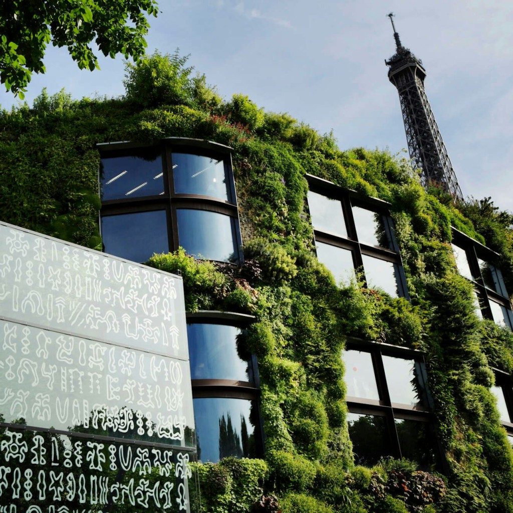 Musée du quai Branly - Jacques Chirac : Pass annuel coupe-file - 1