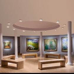 Musée Marmottan Monet : Billet coupe-file - 1