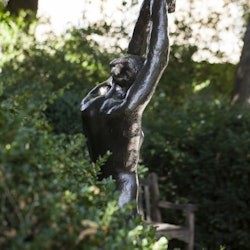 Musée Rodin: Membership Card - 1