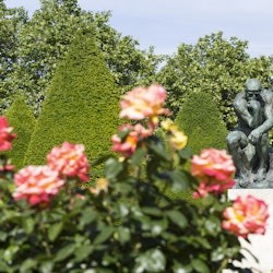 Musée Rodin: Membership Card - 2