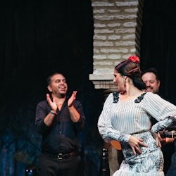 Museo del Baile Flamenco: Eintrittskarte + Flamenco Matinée Show - 1