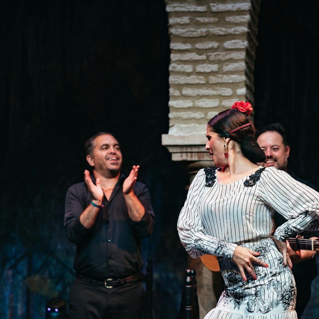 Museo del Baile Flamenco: Eintrittskarte + Flamenco Matinée Show - 3