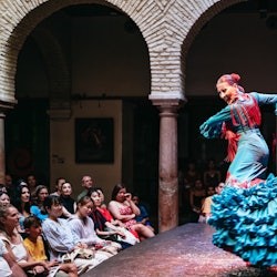 Museo del Baile Flamenco: Eintrittskarte + Flamenco Matinée Show - 2