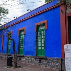 Museo Frida Kahlo & Anahuacalli Museum: Entry Ticket + Guided Tour - 2