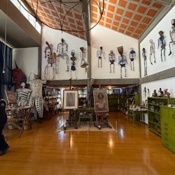 フリーダ・カーロ美術館とハウススタジオ博物館:ガイド付きツアー - 3