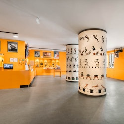 Museu del Cinema: Entry Ticket - 2