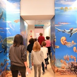 Museum Darwin-Dohrn - 1