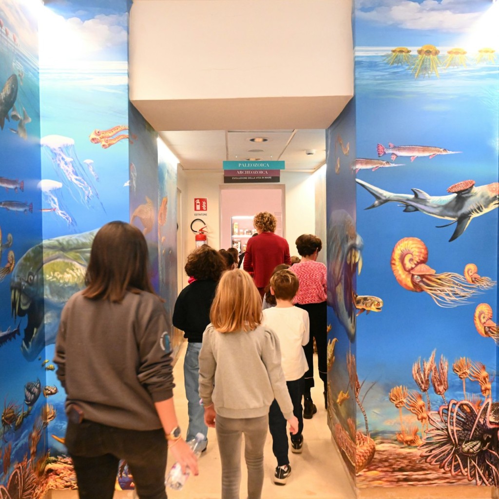 Museum Darwin-Dohrn - 3