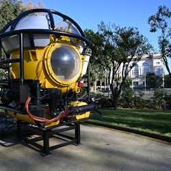 Museum Darwin-Dohrn - 2