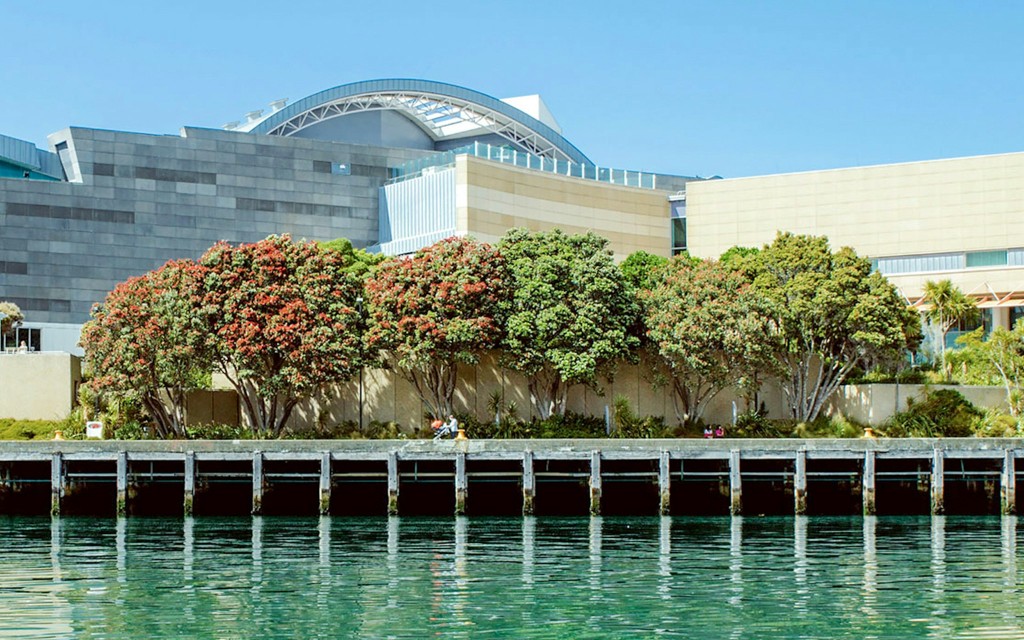 Museum of New Zealand Te Papa Tongarewa Entry Ticket - 3