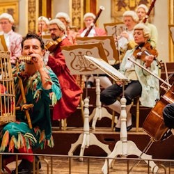 Musikverein Vienna: Orquesta Mozart - 1