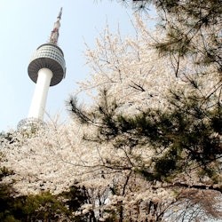 Torre N Seoul: Biglietto d'ingresso - 2