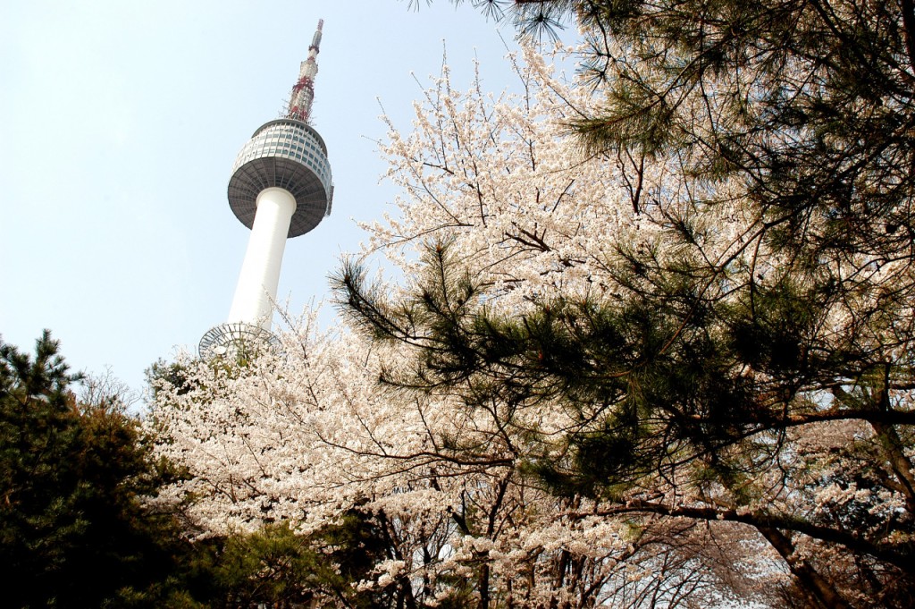 N Seoul Tower Ticket (N Seoul Tower Observatory - Admission) - 2