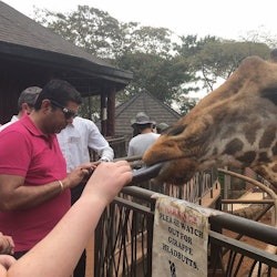 Nairobi: Orfanato de Elefantes, Centro de Jirafas + Excursión de un día a la Fábrica de Abalorios Kazuri - 3