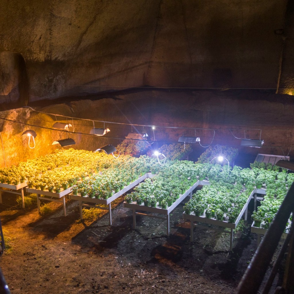 Подземный Неаполь: Билет с входом без очереди + Экскурсия с гидом - Italian Tour - 2