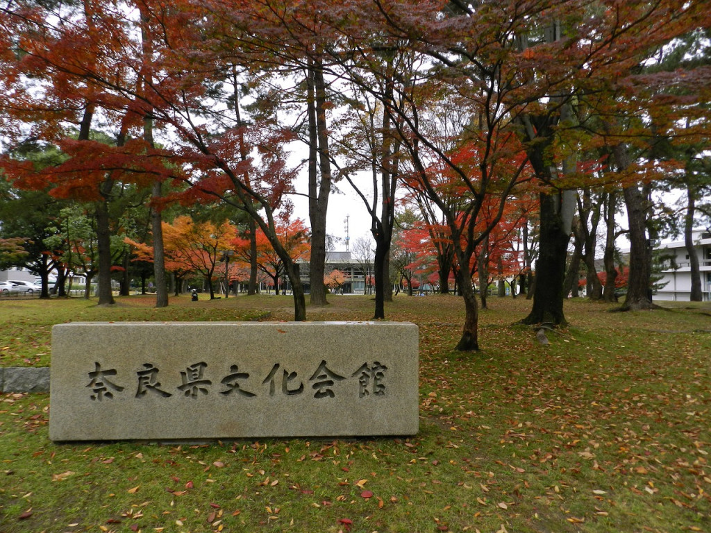 Nara Tour from Kyoto - 2