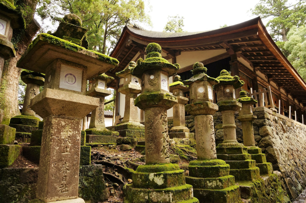 Nara Tour from Kyoto - 3