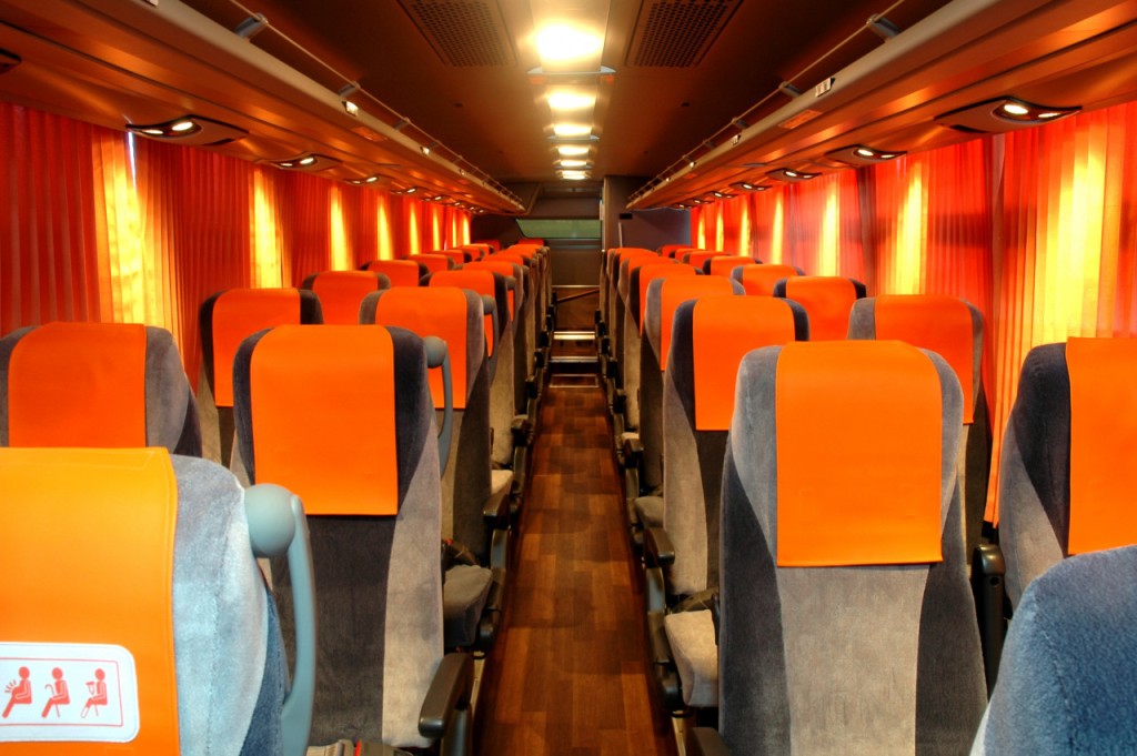 Narita International Airport Limousine Bus Transfers (Narita International Airport to Tokyo Disney Resort Area (One Way)) - 2
