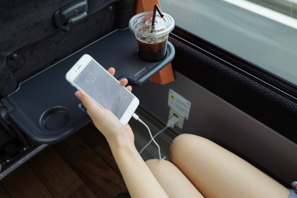 Narita International Airport Limousine Bus Transfers (Tokyo Disney Resort Area to Narita International Airport (One Way)) - 3