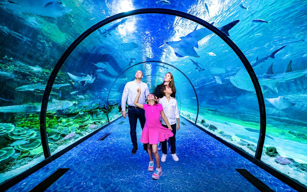 Ingressos National Aquarium Abu Dhabi (Entry Tickets) - 2