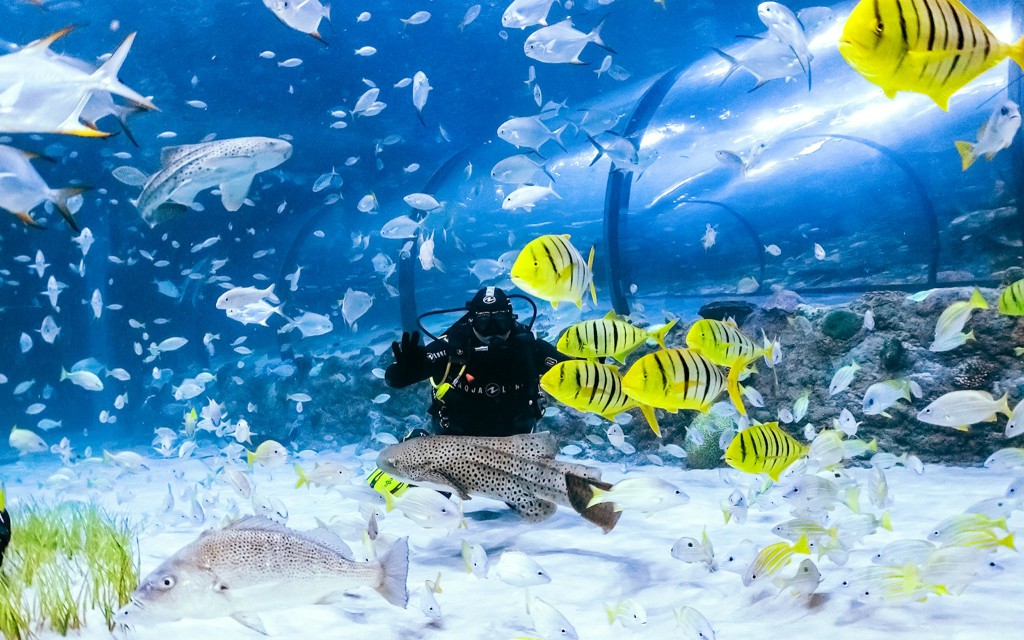 Ingressos National Aquarium Abu Dhabi (Entry Tickets) - 3