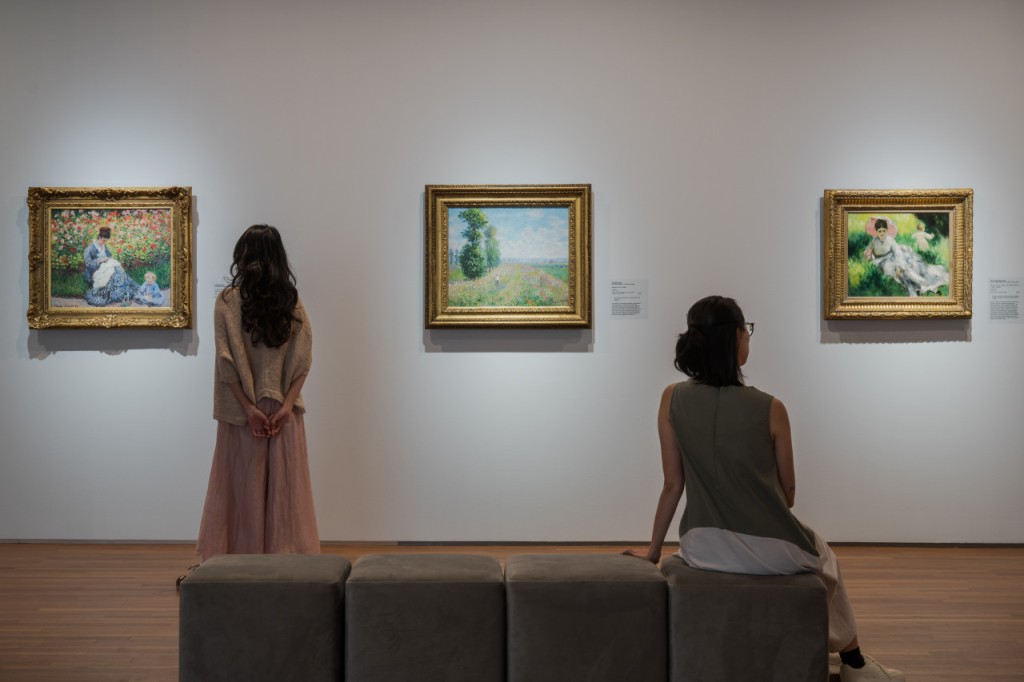National Gallery Singapore Ticket (General Admission Ticket - Permanent Galleries (International Travellers)) - 2