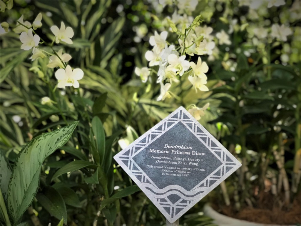 National Orchid Garden Ticket (National Orchid Garden - Admission) - 2