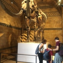 Museu d'Història Natural: Visita guiada - 1
