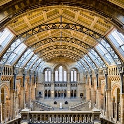 Natural History Museum London: Reserved Entry + Guided Tour + Audio Guide - 3