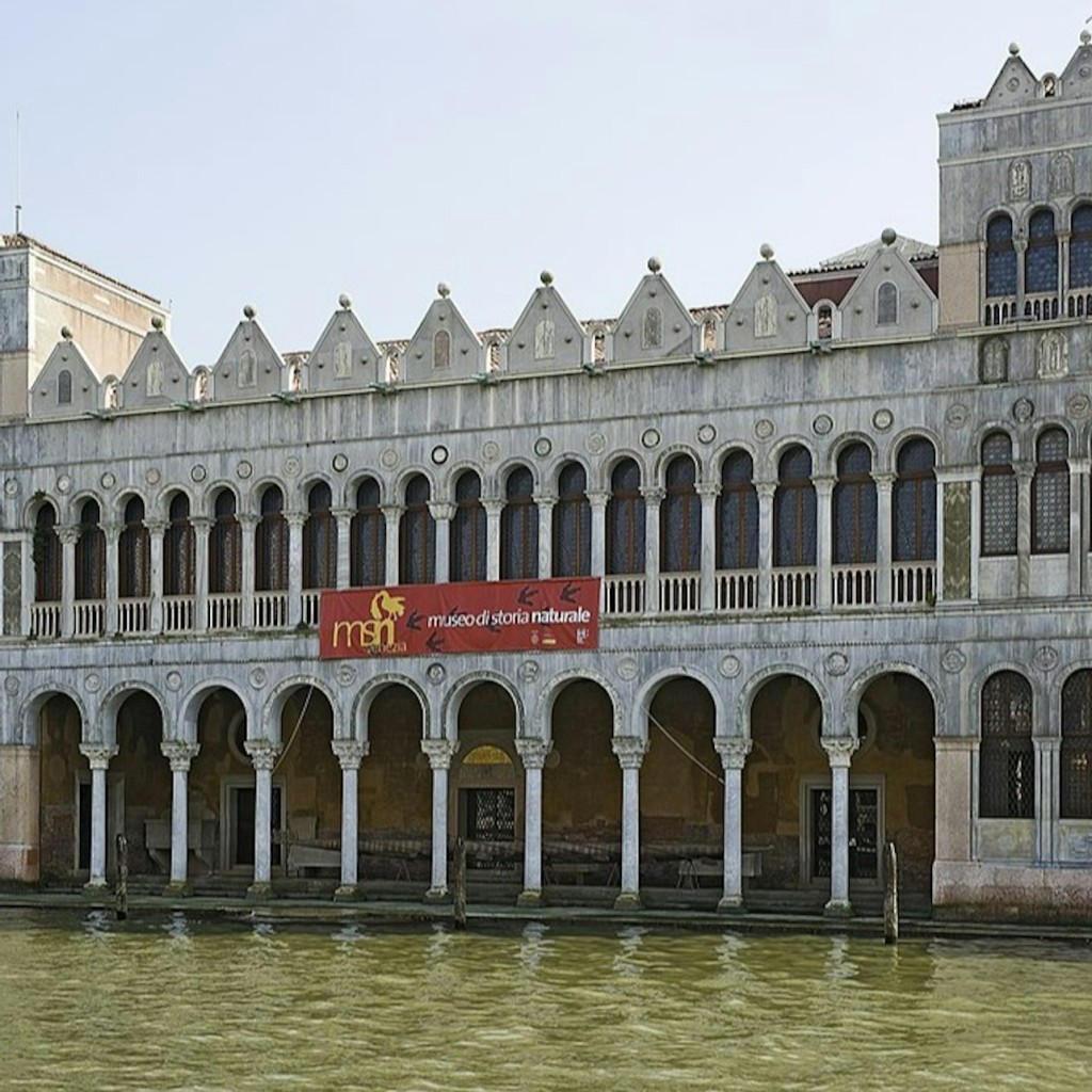 자연사 박물관 (自 然 史 博 物 館Museo di Storia Naturale) - 1