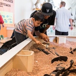 Natural History Museum of Los Angeles County: Entry Ticket - 1