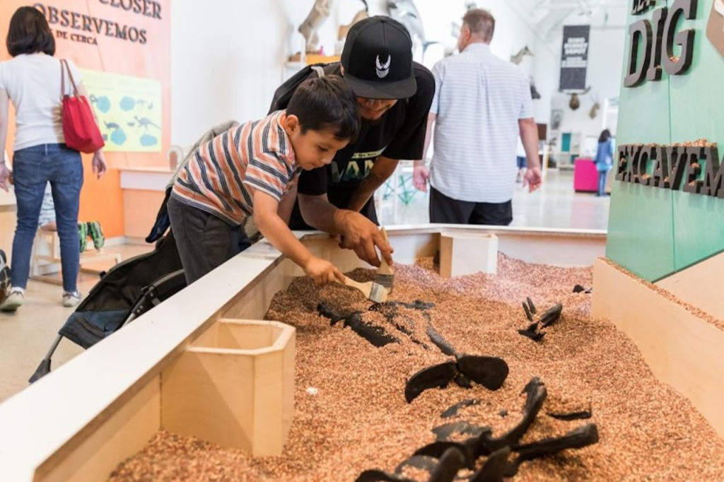 Natural History Museum of Los Angeles County (Natural History Museum of Los Angeles County - Student Admission) - 1