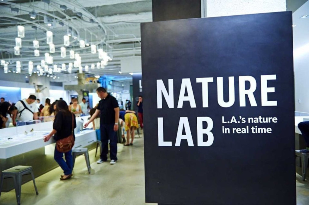 Natural History Museum of Los Angeles County (Natural History Museum of Los Angeles County - Student Admission) - 2