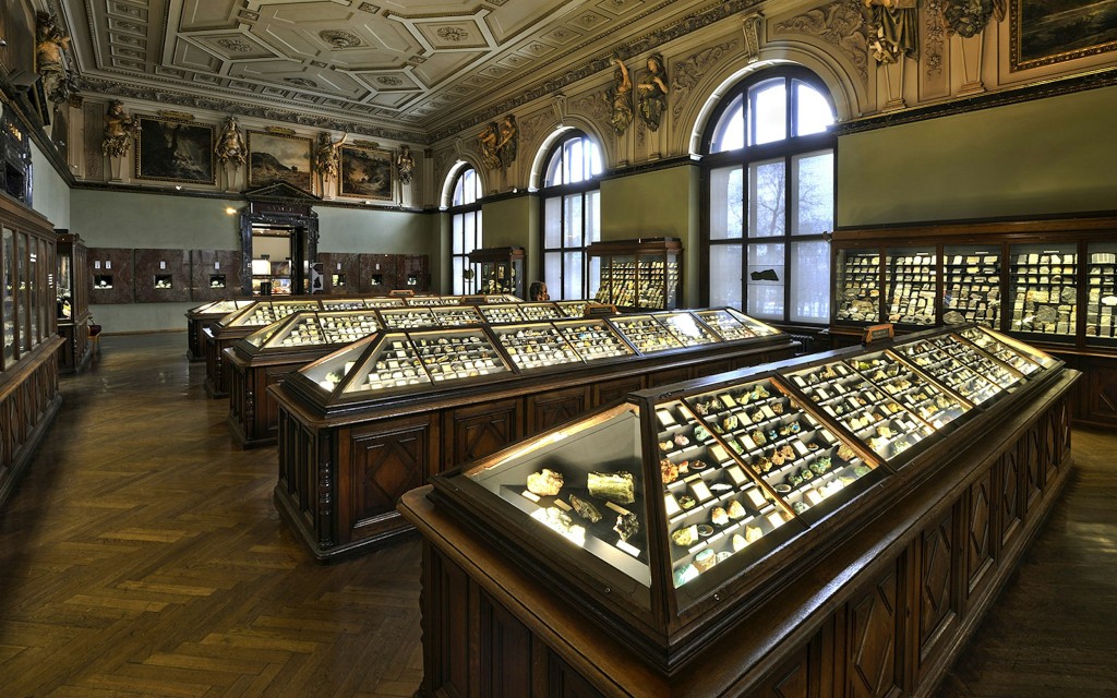 Natural History Museum Vienna Entry Ticket - 1