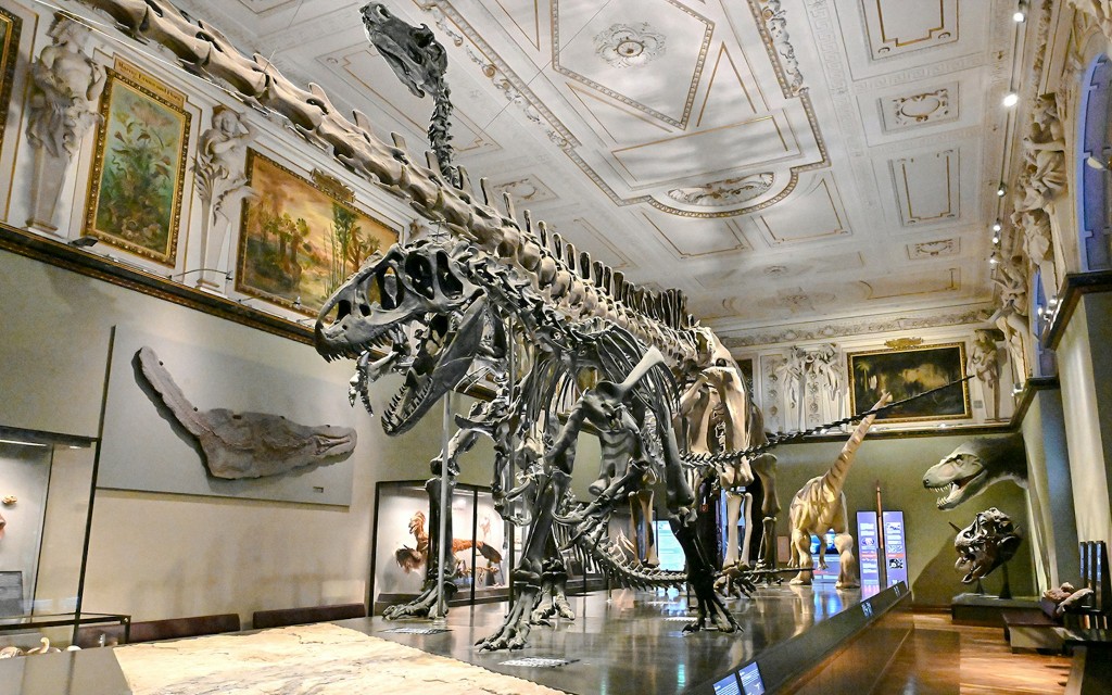 Natural History Museum Vienna Entry Ticket - 2