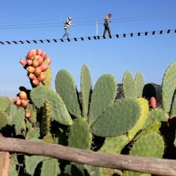 Nature and Adventure Park: Small Group Tour from Marrakech + Lunch - 1