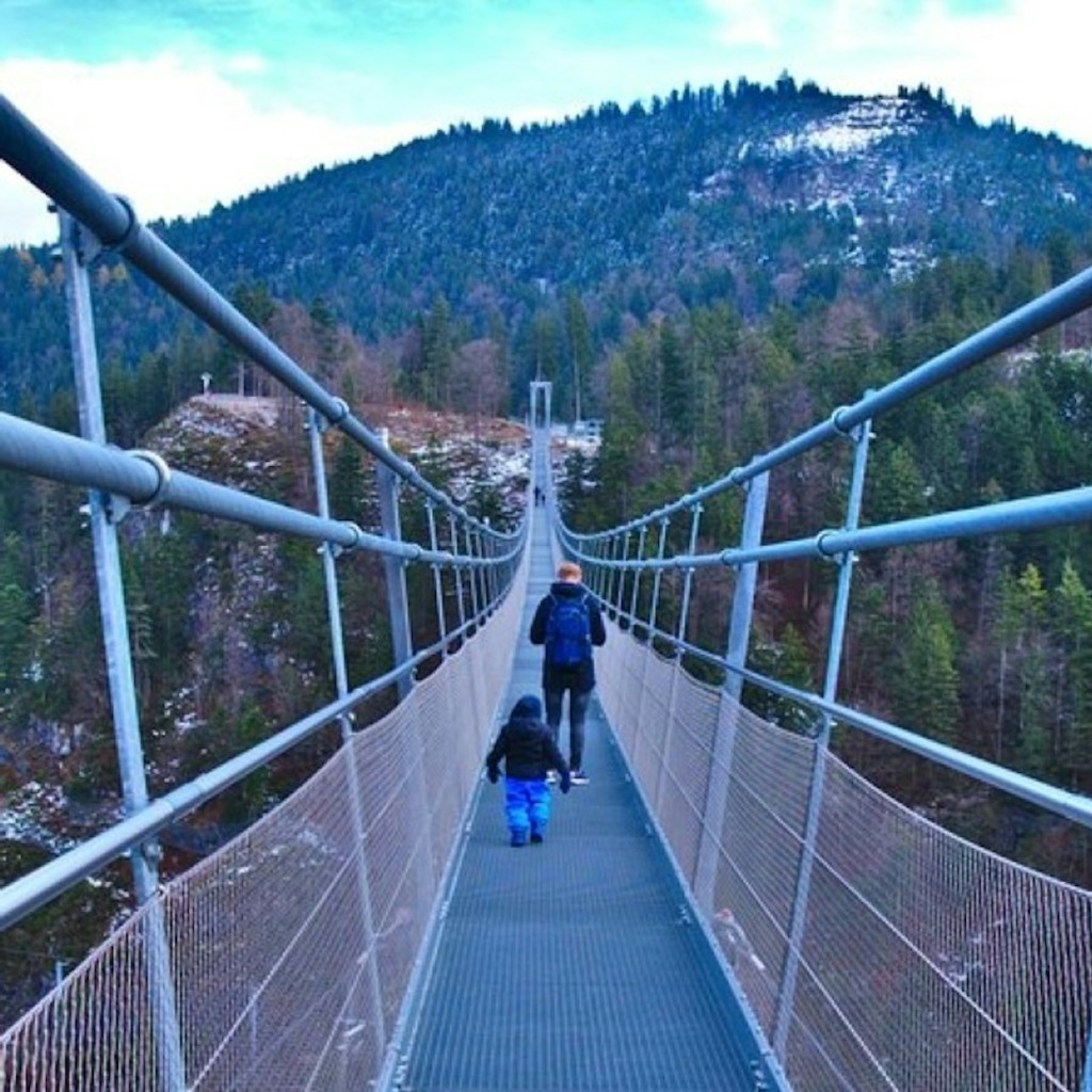 Zamek Neuschwanstein i Highline 179: prywatna jednodniowa wycieczka z Monachium - 2