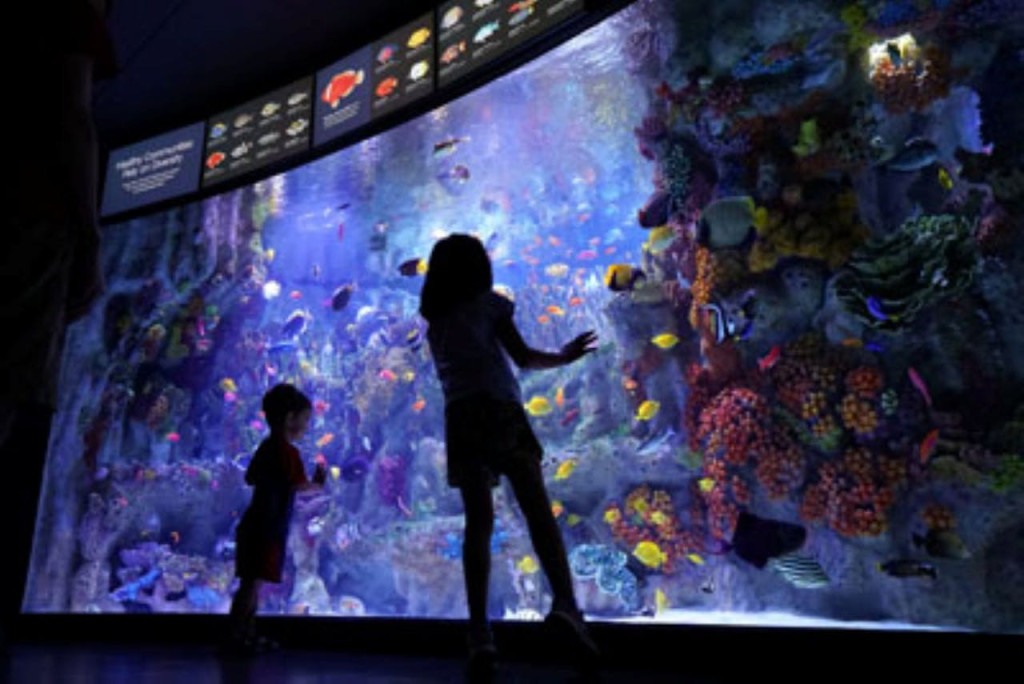 New England Aquarium Ticket (Admission) - 2
