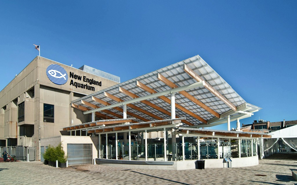 New England Aquarium Tickets (New England Aquarium Ticket) - 1