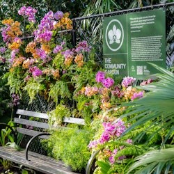 New York Botanical Garden: All Garden Pass - 3