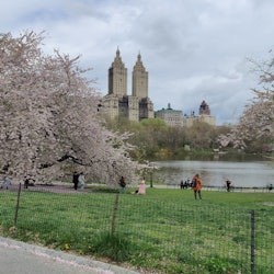 New York: Central Park Guided Bike Tour - 3